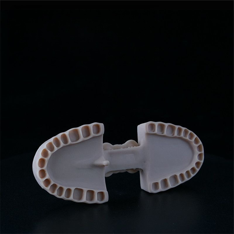 Dental Model Resin LCD Photocu - 3D Printing Orthodontics บทวิจารณ์และราคา