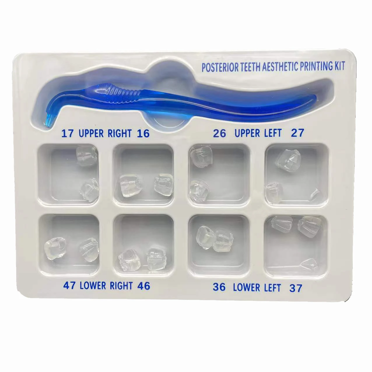 Dental Orthodontic Posterior T - 3D Printing Orthodontics บทวิจารณ์และราคา